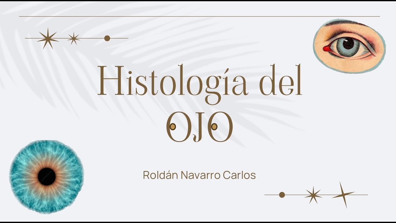 Histología de Ojo (Dr. Carlos Roldán) - its.histology