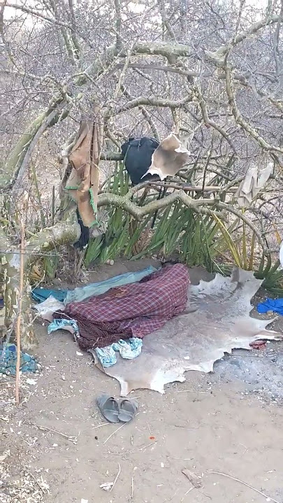 How to sleep hadzabe tribe #gatherers #hadzabe #hadzatribe #wildlife #animal #africa #africantribe
