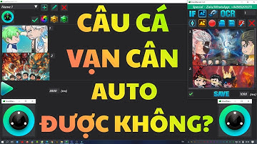 CÂU CÁ VẠN CÂN auto được không? Xem ngay để biết?