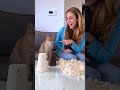 I pranked my cat! 🐱✨#comedy #cat #catlover #humor #petlover