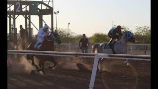Horse Races on May 31, 2026 at the Hermosillo Racetrack