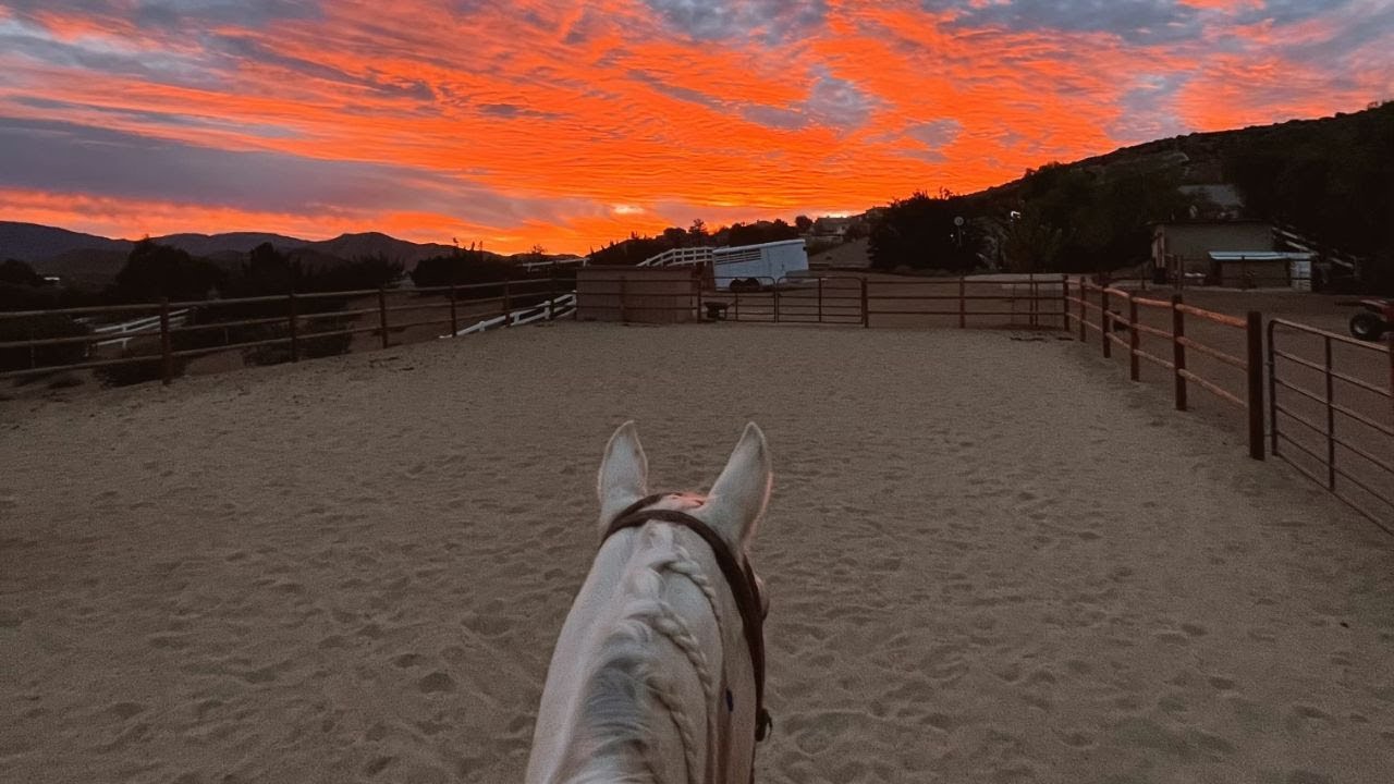 GLAMOROUS HORSE RANCH PROPERTY FOR SALE IN ACTON CALIFORNIA YouTube