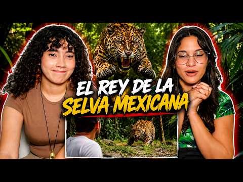 En Busca del JAGUAR 🇲🇽 en la SELVA LACANDONA - 🇨🇺 Cubanas reaccionan