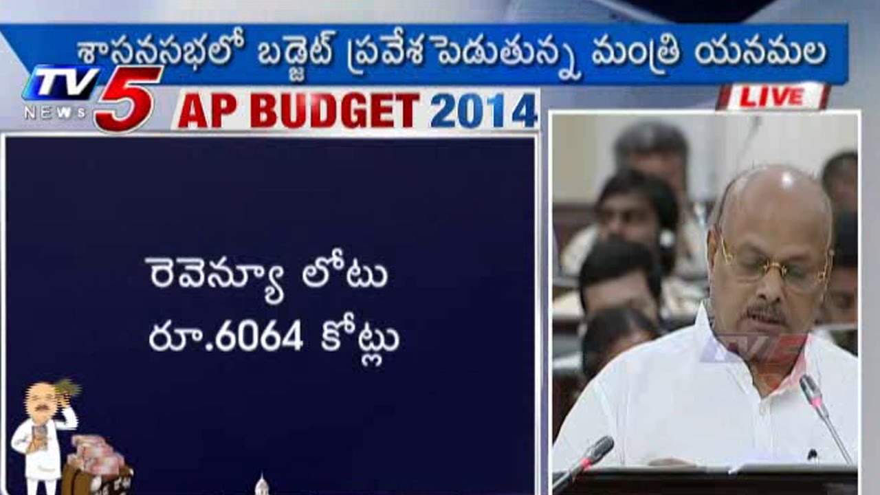AP Budget 2014 | Welfare of Women and Child Development : TV5 News