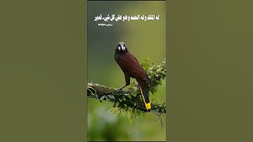 #دعاء #صباح الخير #اذكار الصباح