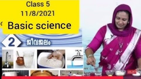 #  first Bell class 5 Basic science # worksheet -11/8/2021