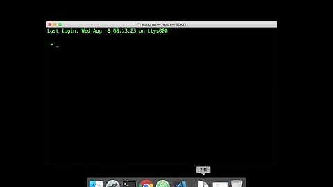 2 安装 Flutter SDK（macOS）