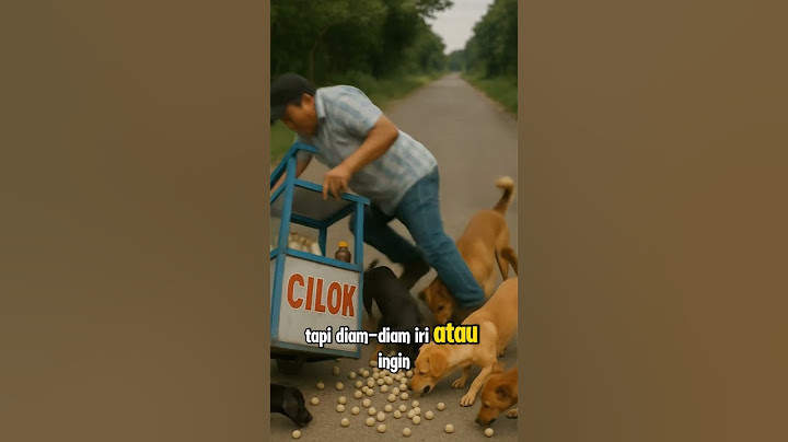 Arti Mimpi Dikejar Anjing - Tafsir Mimpi