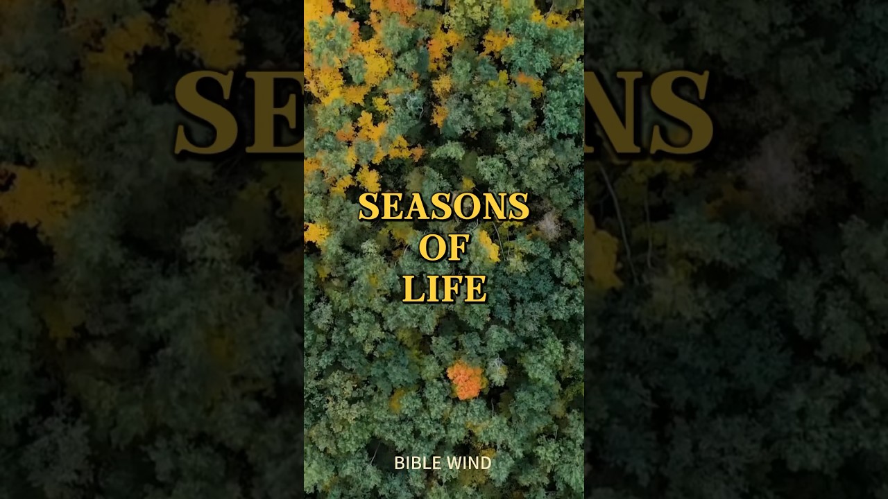 Bible Verse Study: Seasons Of Life from Ecclesiastes 3:1