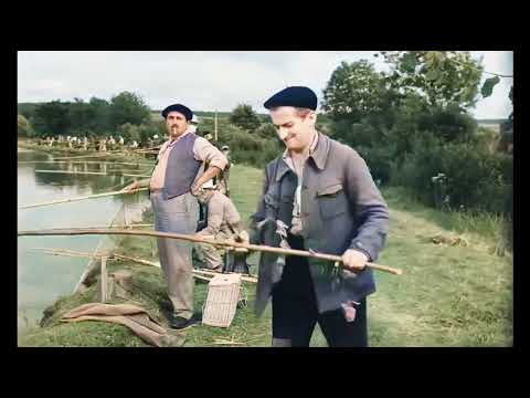 Nevazut, necunoscut (1958)