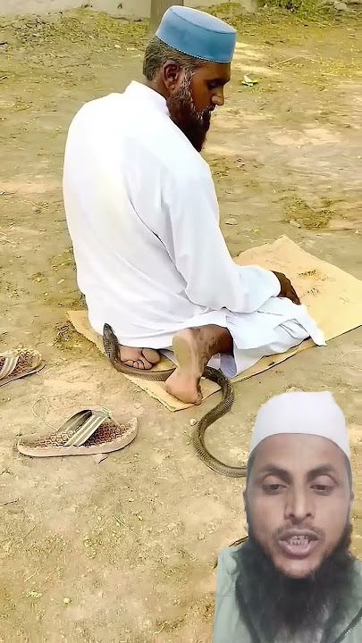 Pawar of Namaz🤲🤲 #tilawet #cobra #qurantelwat #tilawatbeautifulvoice #funny #snake #quran #beautiful