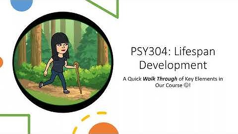 PSY304: Quick Guide