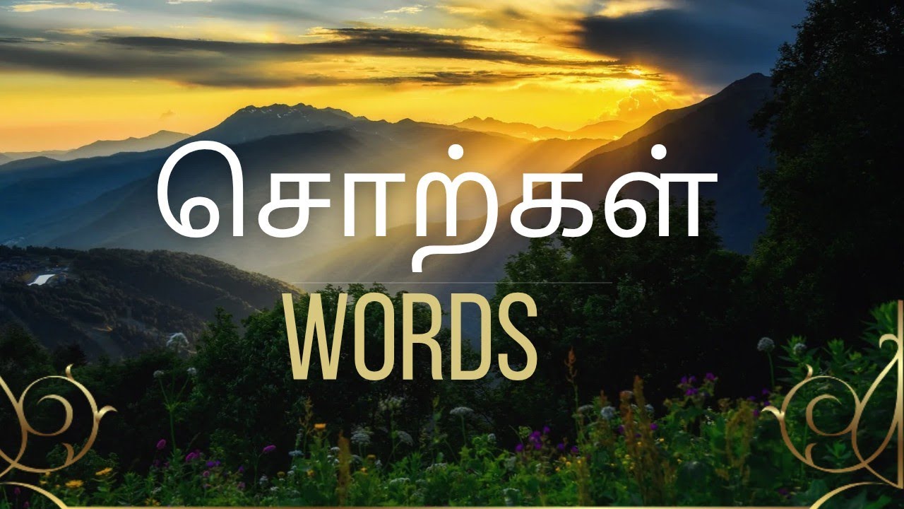 சொற்கள் | words 