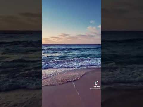 حبيبي فداك انا