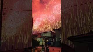 Nagaoka Fireworks Festival 2025(Niigata) / 長岡花火 🇯🇵 #travel #japan #花火 #フェニックス #shorts