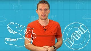 Can You Become A Fossil? | Brit Lab Can You Become A Fossil? | Brit Lab