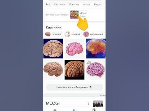 Как можно купить мозги - YouTube