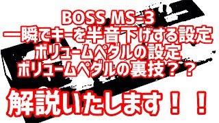 え、ボリュームペダルってそんなことできるの？BOSS MS-3の裏技的使い方を解説！！