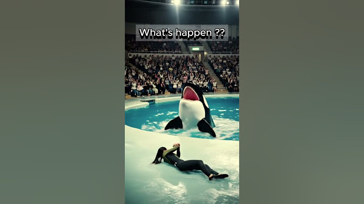 Sad News Jessica and dolphin. Jessica is no more #Jessica #orca #attack #JessicaRadcliffeOrca