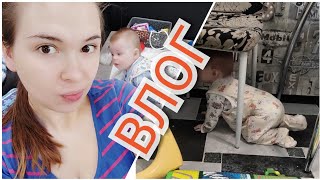 ВЛОГ: Охота на котов // Новый ТЕЛЕФОН // Крабовый салат ВЛОГ: Охота на котов // Новый ТЕЛЕФОН // Крабовый салат