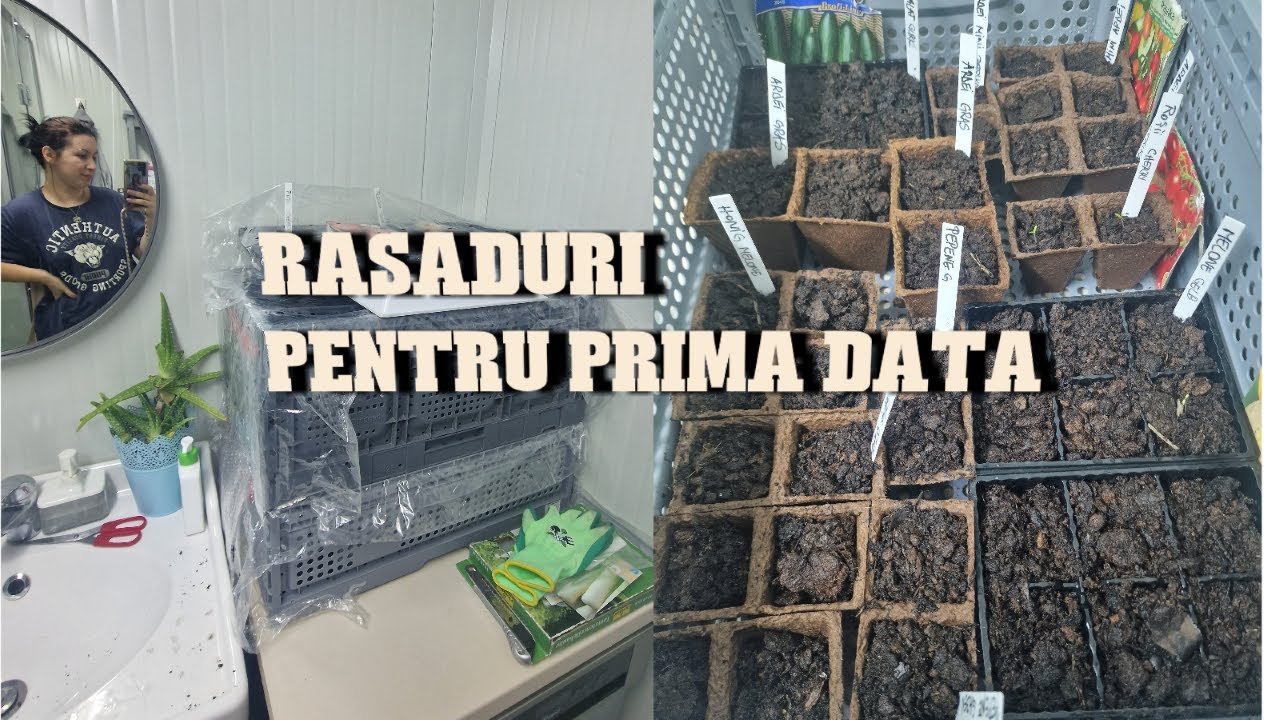 EXPERIMENT cu RASADURI - YouTube