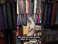 What did I read?