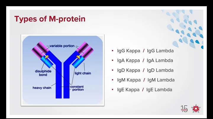 About Newly Diagnosed Myeloma & What to Expect