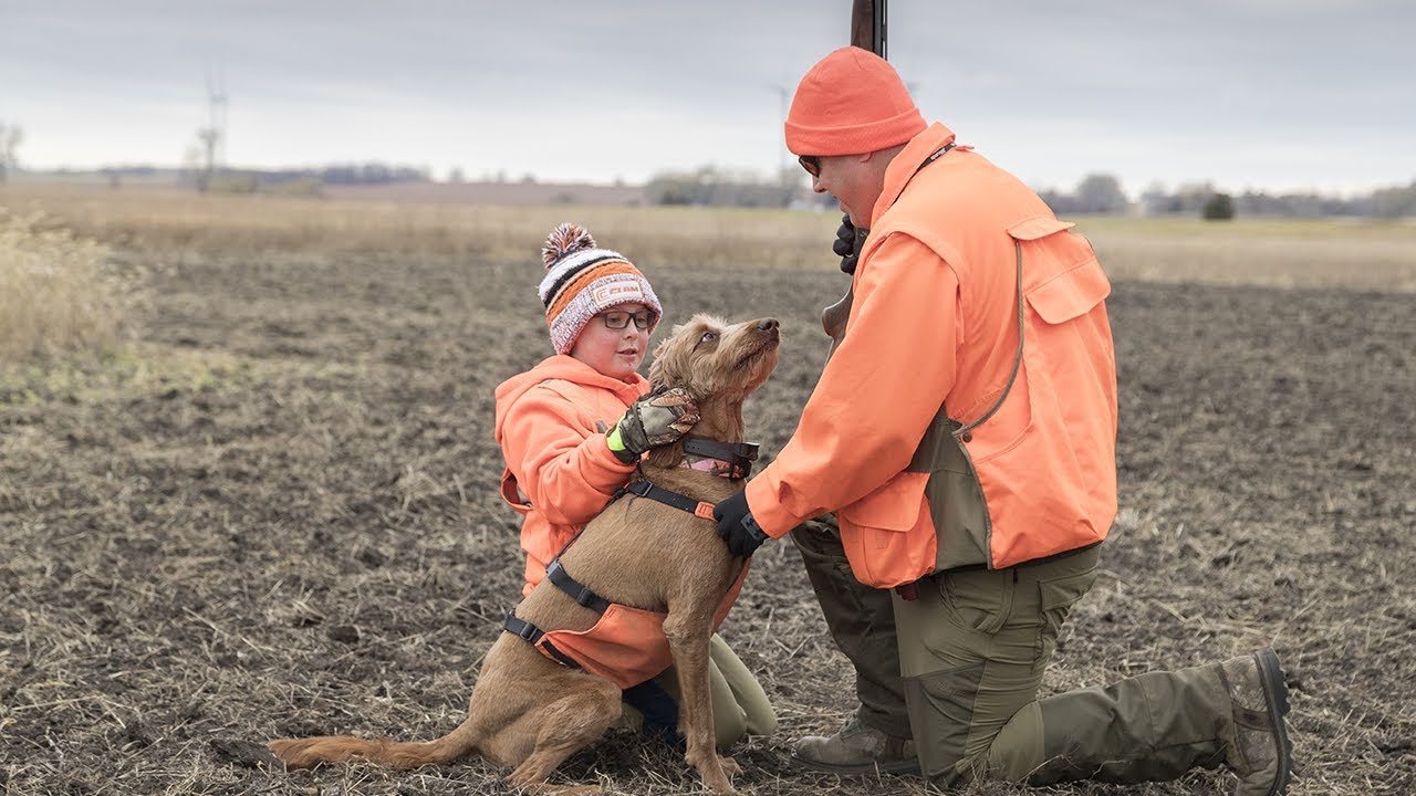 South Dakota Pheasant Hunt with a Special Father, Son & Bird Dog The