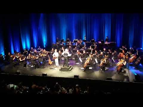 Espatódea - Nando