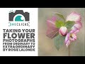 Taking your Flower Photographs from Ordinary to Extraordinary by Rosie Lalonde