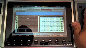 Fantom G Editing Phrase with Microscope