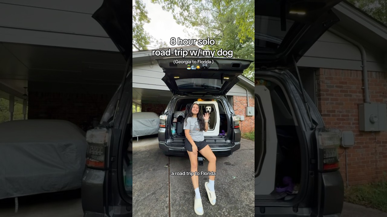 8-hour solo road trip with my dog!