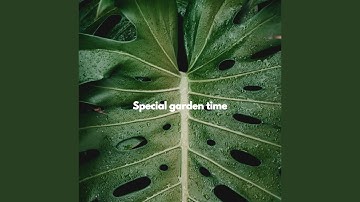 Exciting Backdrops for Brave Keynotes