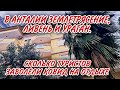 ТУРЦИЯ.СКОЛЬКО ТУРИСТОВ ЗАБОЛЕЛИ НА ОТДЫХЕ.В АНТАЛИИ КРАСНЫЙ УРОВЕНЬ НЕПОГОДЫ.ПОСЛЕДНИЙ РЫНОК.