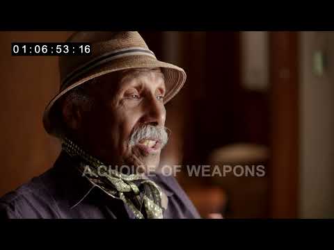 Adger Cowans Interview - A Choice of Weapons: Inspired by Gordon Parks