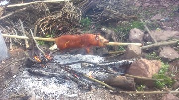 Lợn quay Lục Ngạn - Bắc Giang