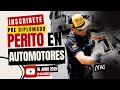 🔞 Se parte de nuestra comunidad - Únete ¡Ya! al Pre Diplomado Perito en Automotores🔞