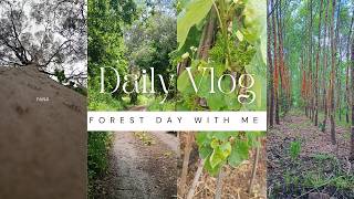 🌲🚶♂️ Part 1 of this peaceful forest walk… | Vlogs | Vlogger #dailymoments #dailylife
