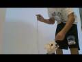 How to Teach your Dog to Stand on Two Legs- Dog Tricks R US How to Teach your Dog to Stand on Two Legs- Dog Tricks R US