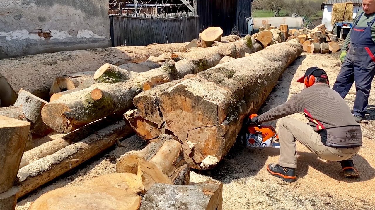Cutting firewood with Stihl 500i - YouTube