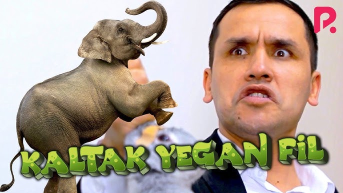 Spandexdagi jinsiy aloqa Porno: Dadamning eng katta siki