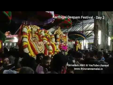 Tiruvannamalai Karthigai Deepam Festival Day 2 - Tiruvannamalai Deepam 2020