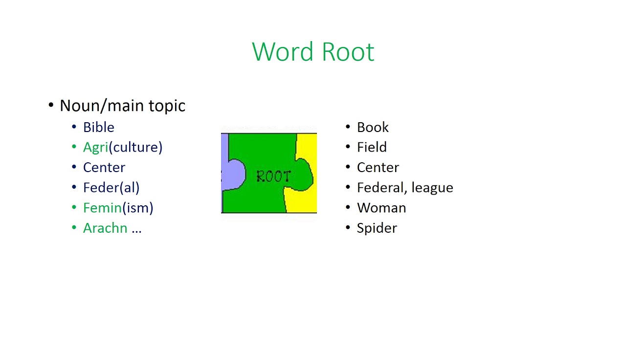Chapter 5 Medical Term YouTube