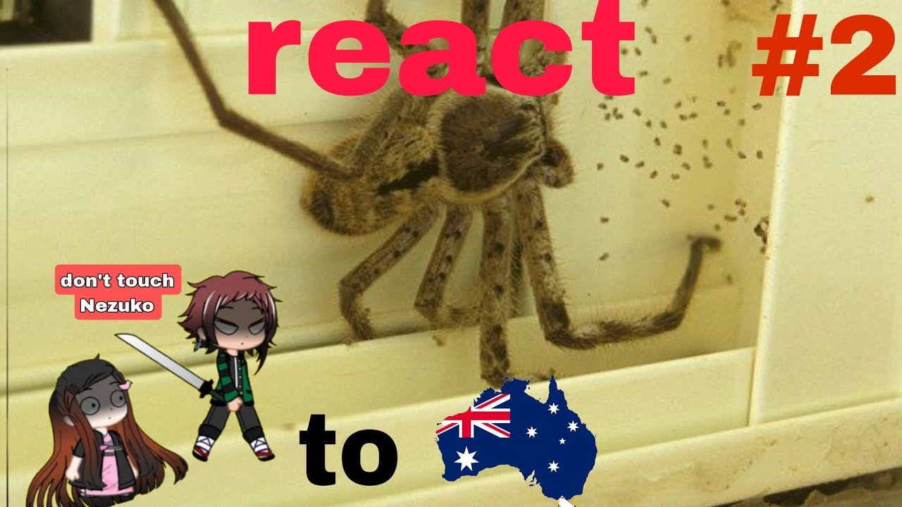 Demon Slayer React  to Australian Wildlife by Moreparz #2
