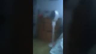 glitches on your phone