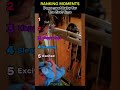 Dogs meet baby for the first time ❤️ part 1 #dog #dogs #dogvideos #funnydogs #pets
