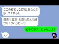 【LINE】TDLで過ごす私の結婚記念日旅行に便乗してリゾートホテルにタダで宿泊を企むママ友「26万のお支払いよろしくw」→お金を持たずに豪遊する非常識女にある事実を伝えた結果...【スカッとする話し】