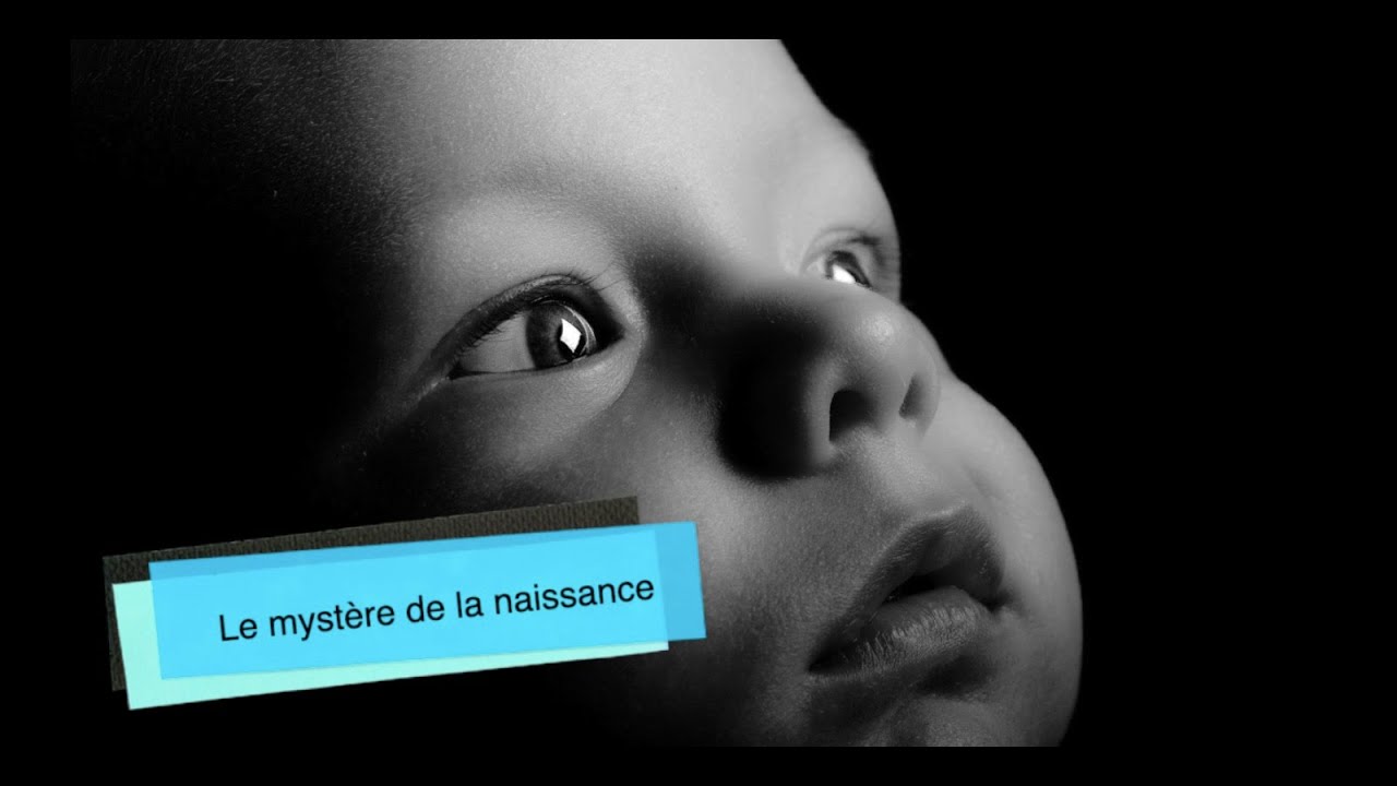 Le mystère de la naissance enfin élucidé - Tazria-Metsora