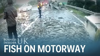 A truck overturned in China spreading 1.5 tonnes of fish across the motorway
