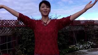 Spider's Web Song - 蜘蛛網-with hand movements